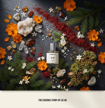 Baccarat Rouge 540 Dupe Australia - Lie 40 | The Sweetest Lie